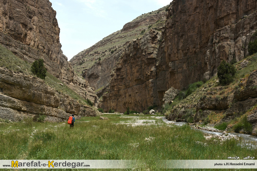 گردشگری کلات گردشگری کلات