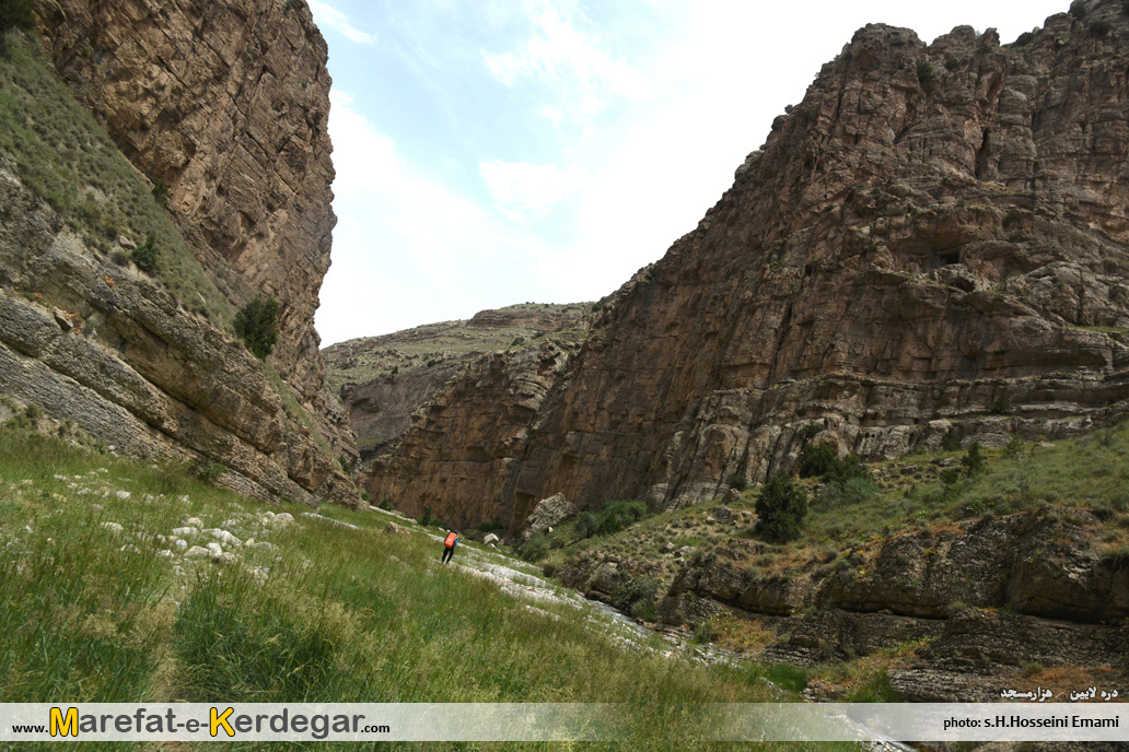 گردشگری کلات گردشگری کلات