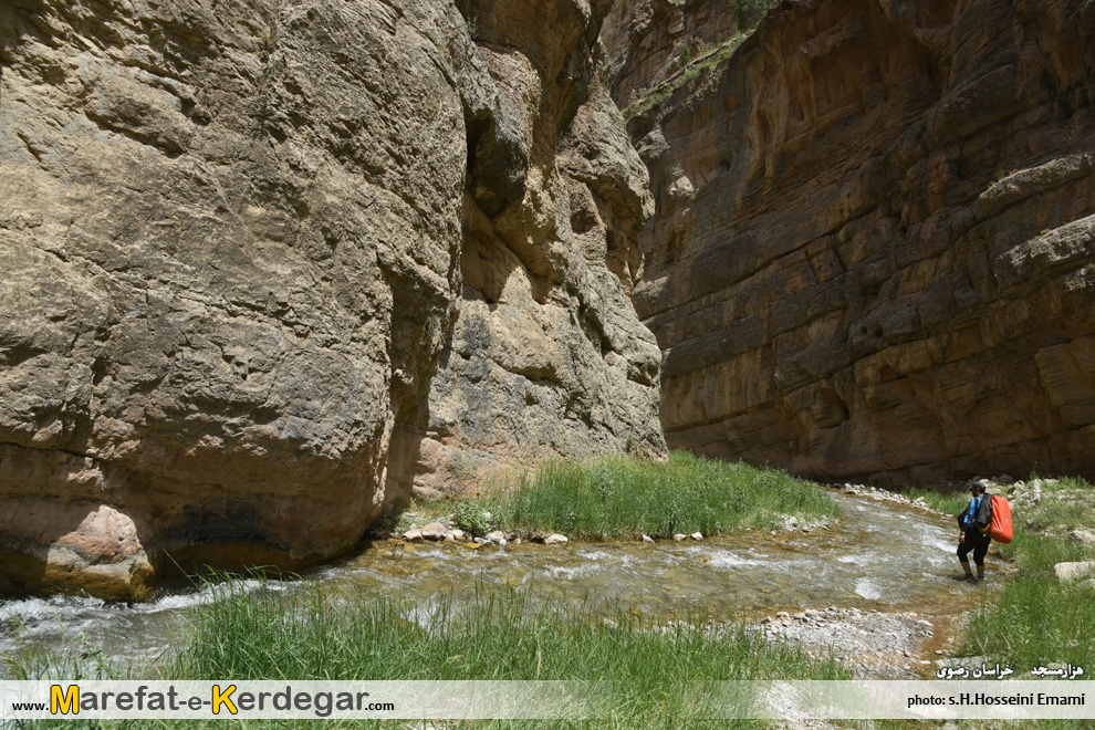 گردشگری کلات گردشگری کلات