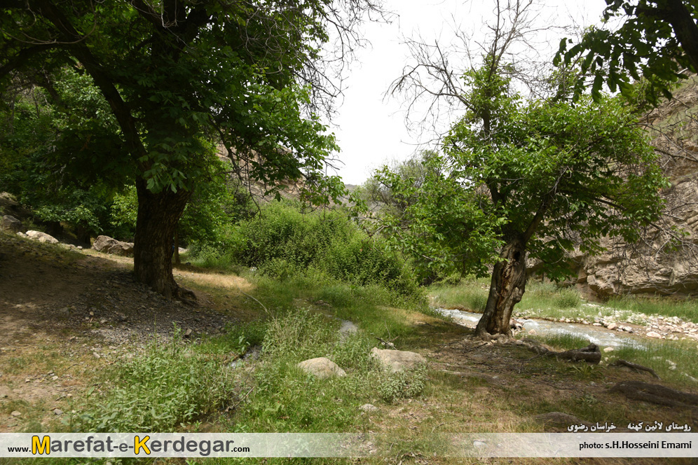 روستای لائین کهنه روستای لائین کهنه