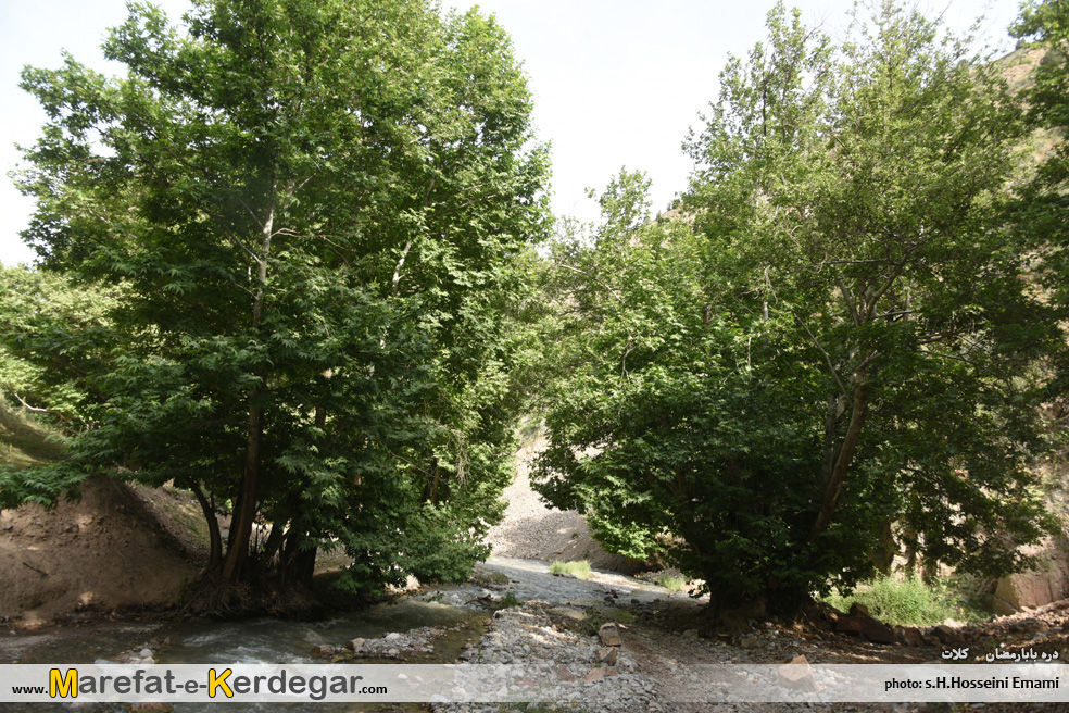 مکان های توریستی کلات مکان های توریستی کلات