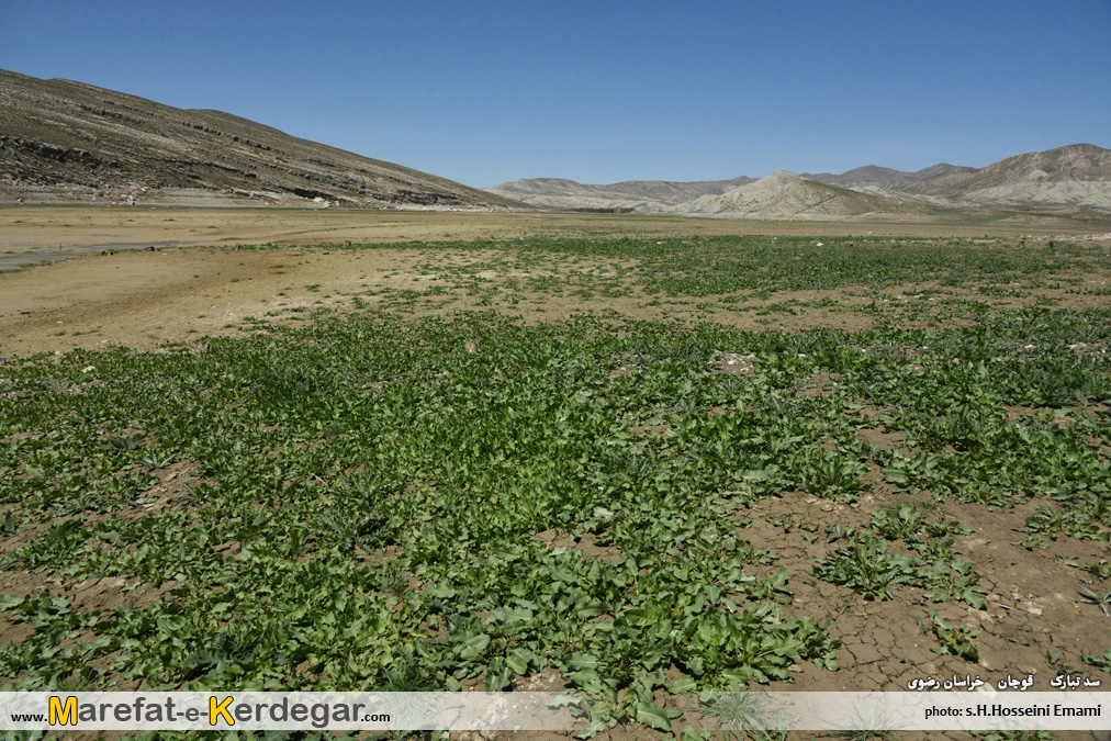 جاهای دیدنی خراسان