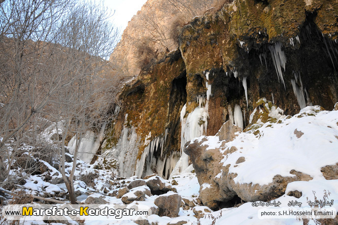 چناران گردی