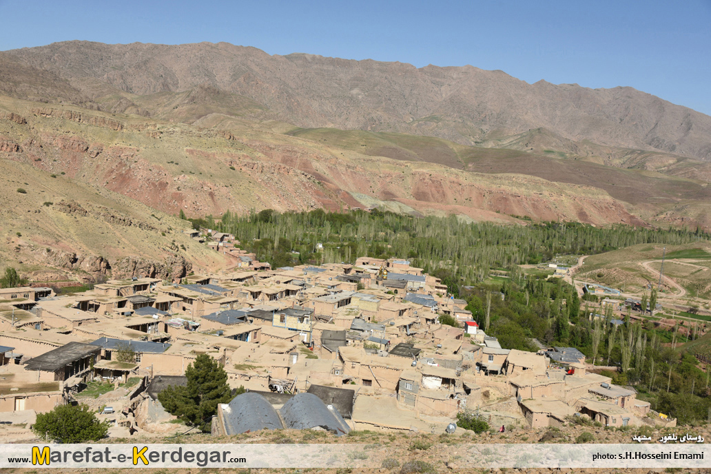 مشهد گردی